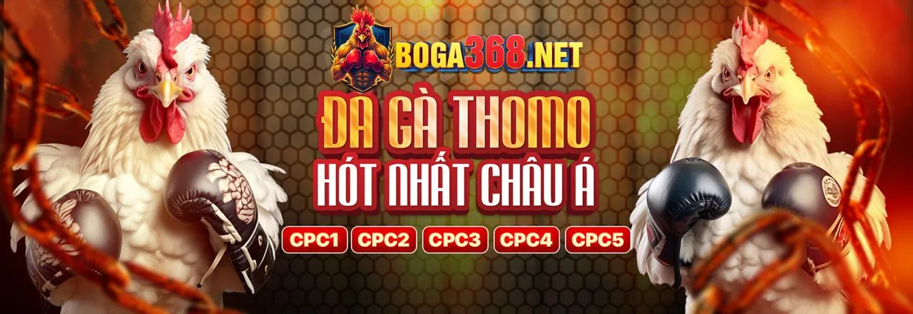 Tải ứng dụng 788bet trải nghiệm cá cược trực tuyến đỉnh cao