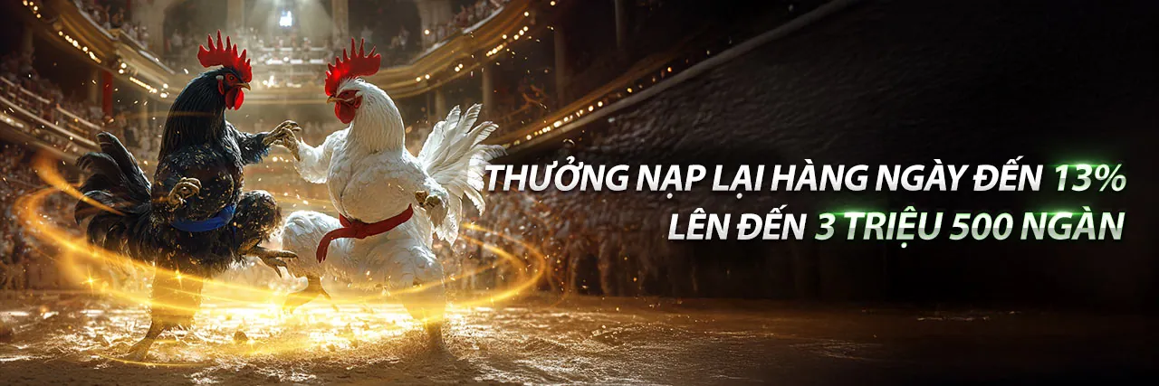 Sàn đấu gà chọi trực tuyến tại 788bet